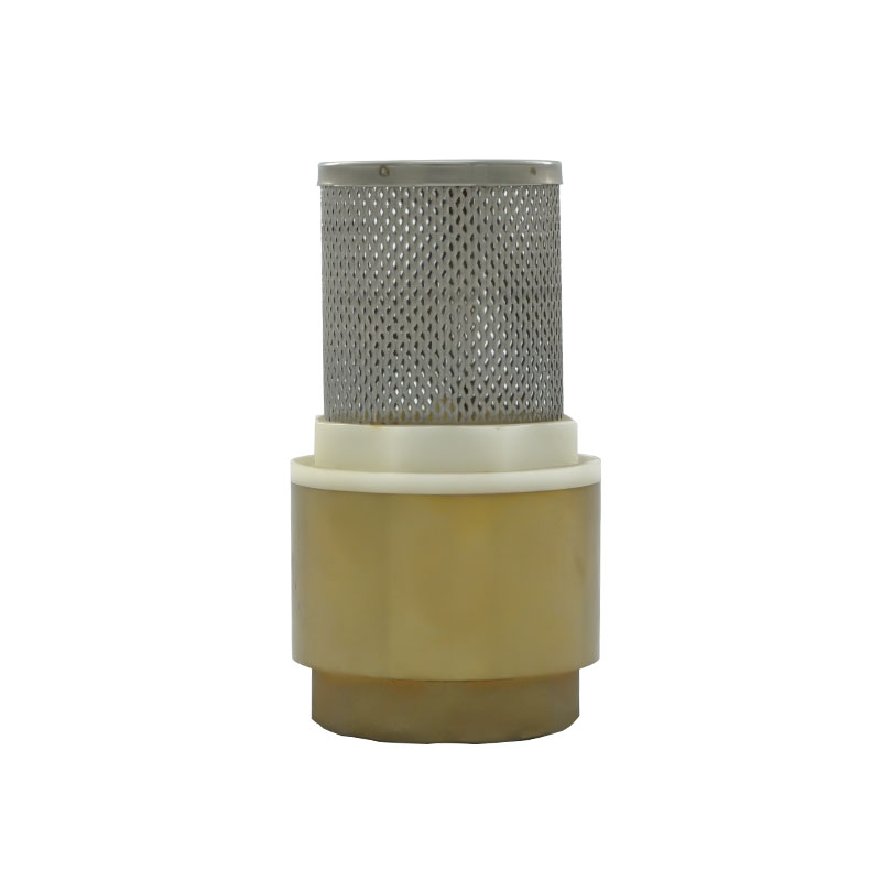 Fluid Control တွင် Check Valves ၏ မရှိမဖြစ် အခန်းကဏ္ဍ